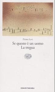 Cover of If This Is a Man