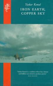 Cover of Iron Earth, Copper Sky